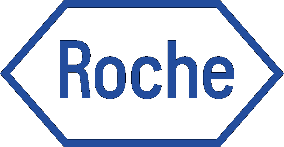 ROCHE S.R.O. 